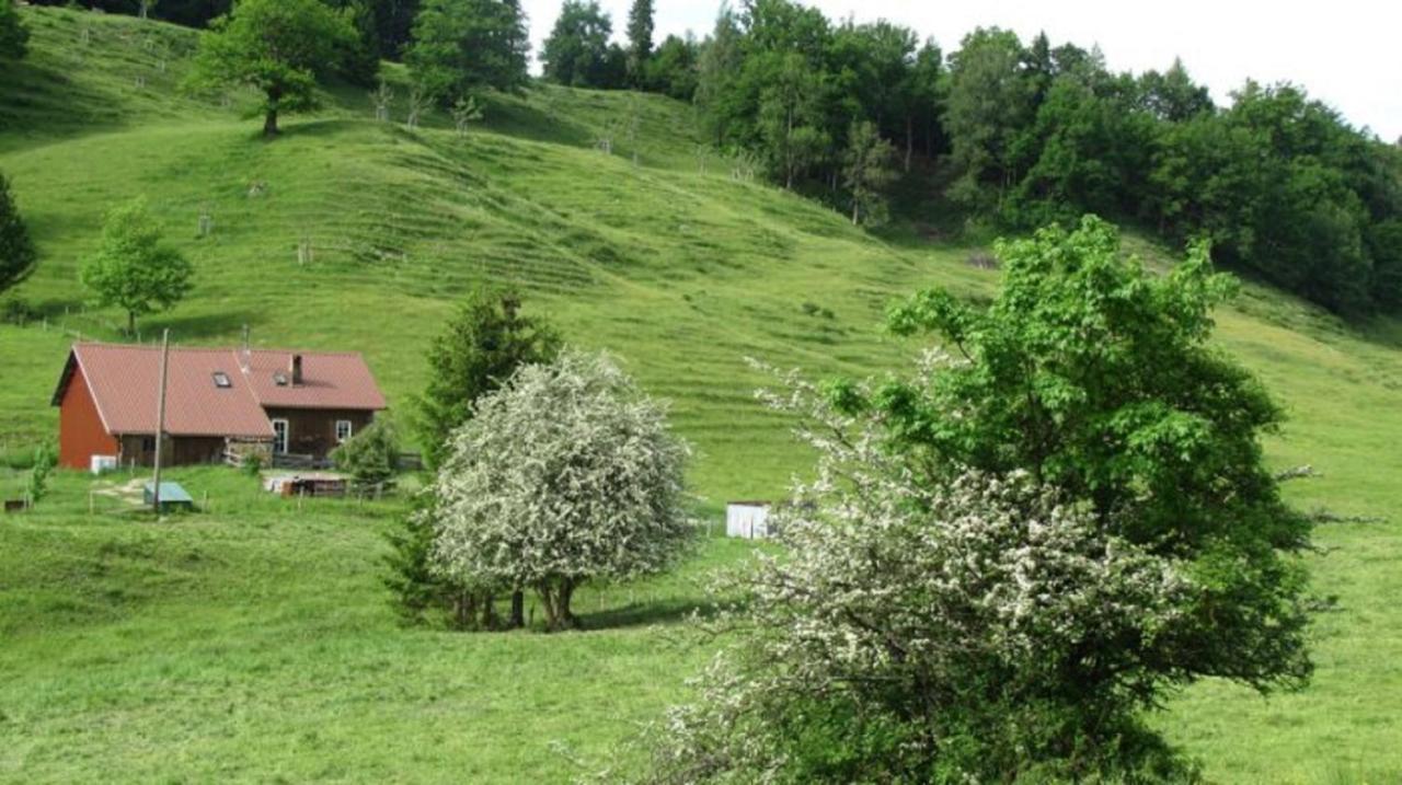 Kaufhold Ferienwohnung Імменштадт-ім-Алльгой Екстер'єр фото